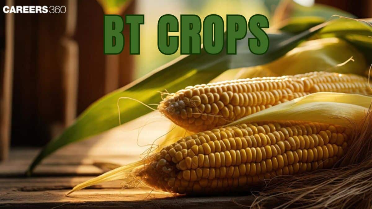 Bt Crops: Definition, Types, Examples, Diagram, Questions, Process